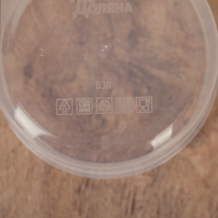 Контейнер пищевой 300 мл, цвет фиолетовый