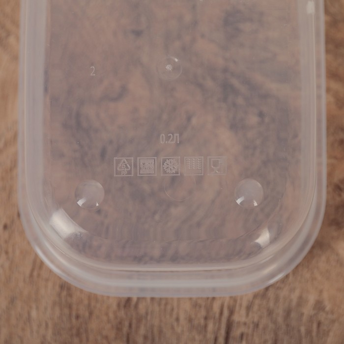 Контейнер пищевой 150 мл, цвет фиолетовый