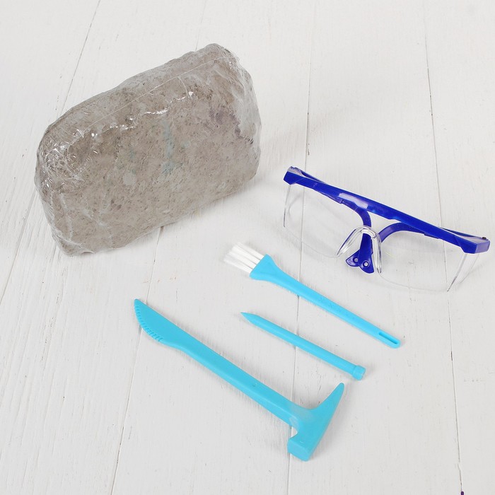 Набор археолога серия динозавры "Трицератопс"