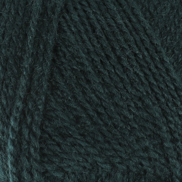 Пряжа "Astra" 100% премиум акрил 330м/100гр (3552 зелёный океан)