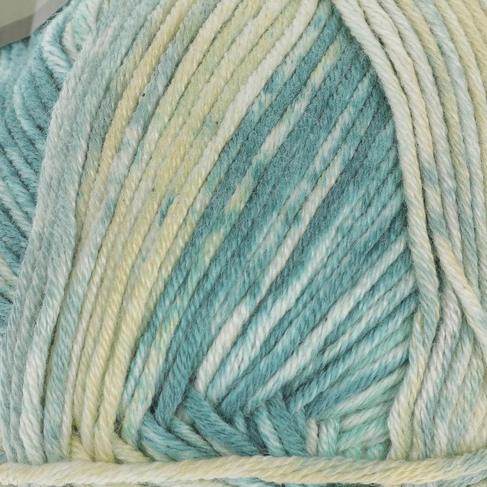 Пряжа "Calico Jakar" 50% хлопок, 50% акрил 245м/100г (31548 секционный)