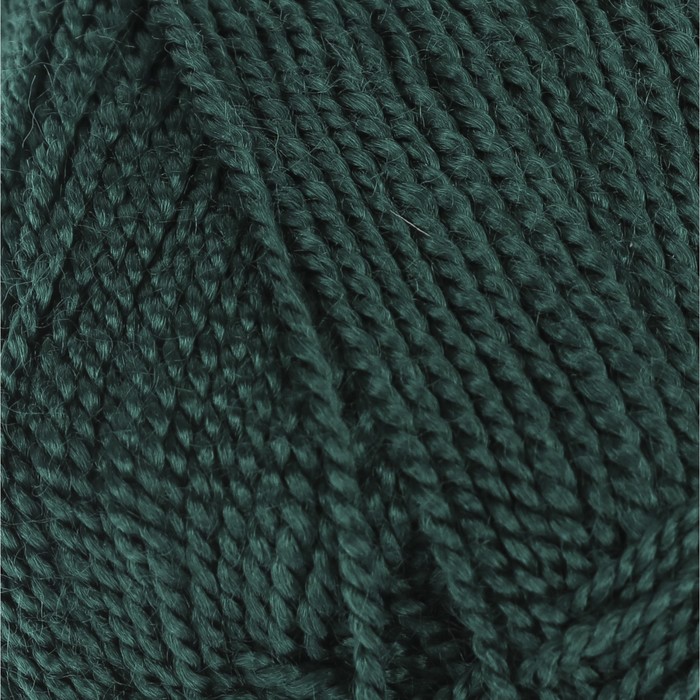 Пряжа "Etamin" 100% акрил 180м/30гр (443 изумрудный)
