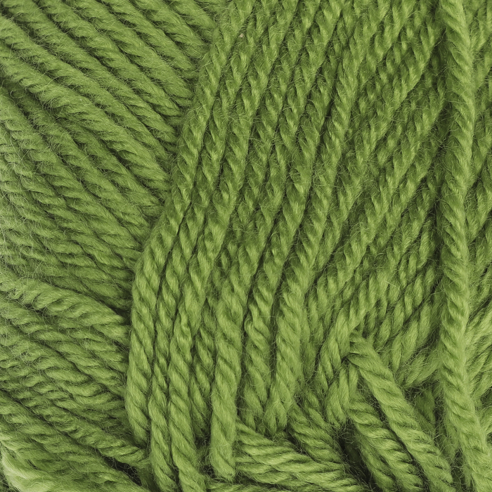 Пряжа "Everyday" 100% антипилинг акрил 250м/100гр (70011 св. зелёный)