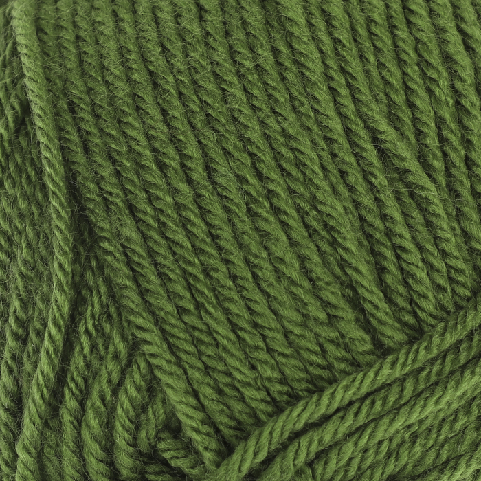 Пряжа "Everyday" 100% антипилинг акрил 250м/100гр (70012 яр. зелёный)