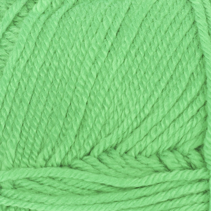 Пряжа "Everyday" 100% антипилинг акрил 250м/100гр (70050 зелёный)