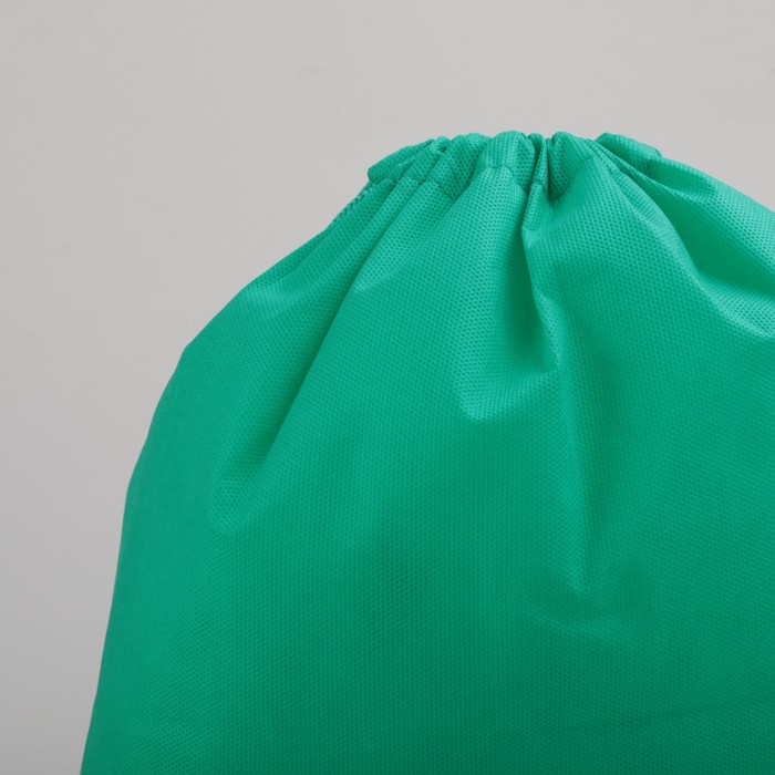 Мешок для обуви, 1 отдел на шнурке, цвет ярко-зелёный
