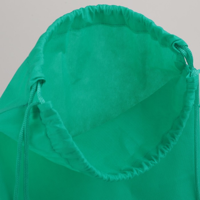 Мешок для обуви, 1 отдел на шнурке, цвет ярко-зелёный