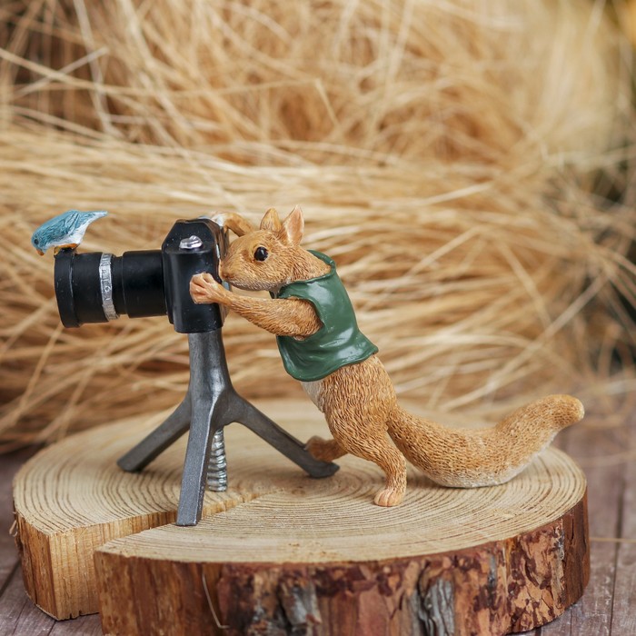 Сувенир полистоун "Бельчонок-фотограф и синичка"