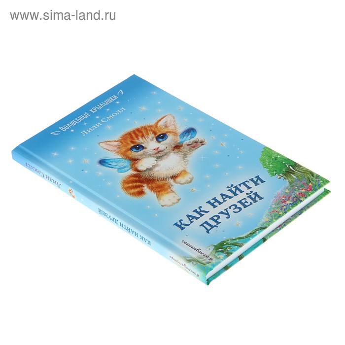

Как найти друзей. Смолл Л.