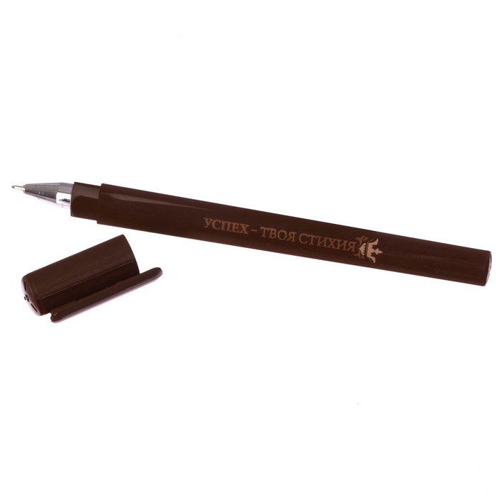 Ручка пластиковая "Успех - твоя стихия"
