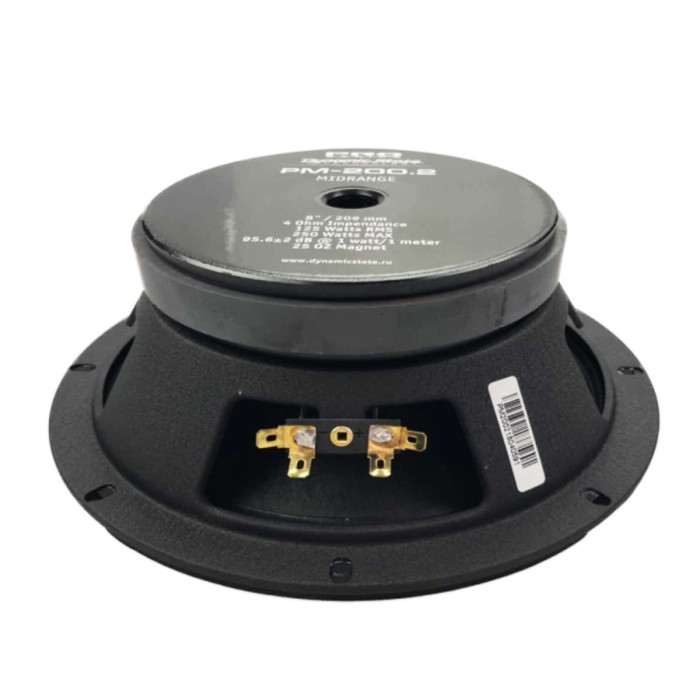 Акустическая система Dynamic State PM-200.2 Pro Series, 20 см, 250 Вт, набор 2 шт