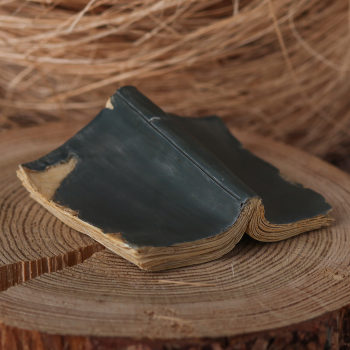 Сувенир полистоун "Филин под книжкой"