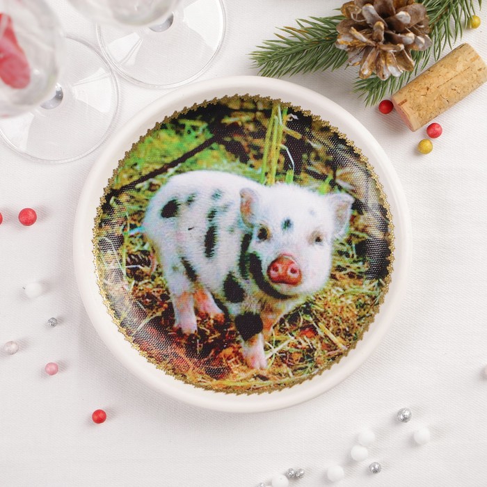 Декоративная тарелка «Свинка», на холсте, настенная, D=16 см