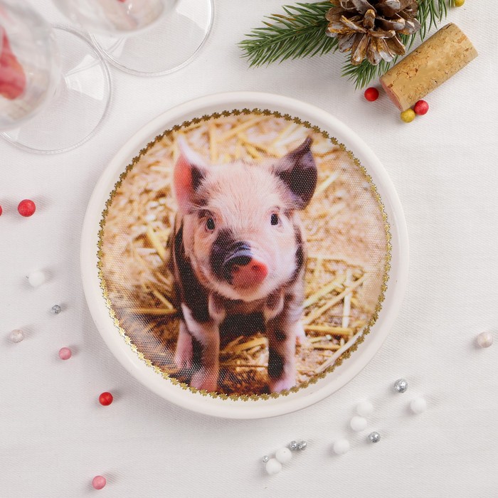 Декоративная тарелка «Пятнистый поросёнок», на холсте, настенная, D=16 см