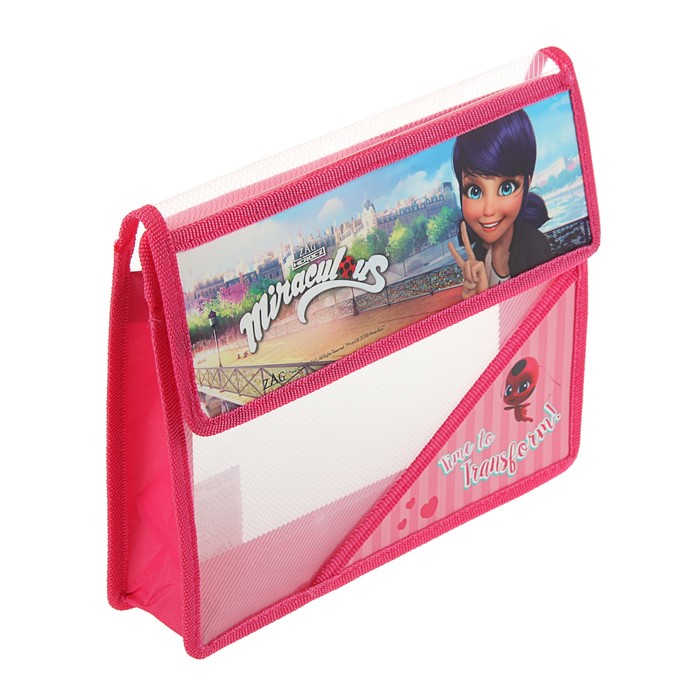 Папка для тетрадей А5, клапан на липучке, пластиковая LadyBug