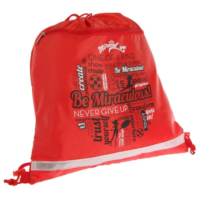 Мешок для обуви 430*390мм LadyBug, с карманом на молнии