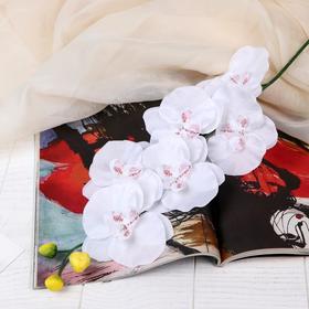 Цветок искусственный 'Орхидея' 9*60 см, белая Ош