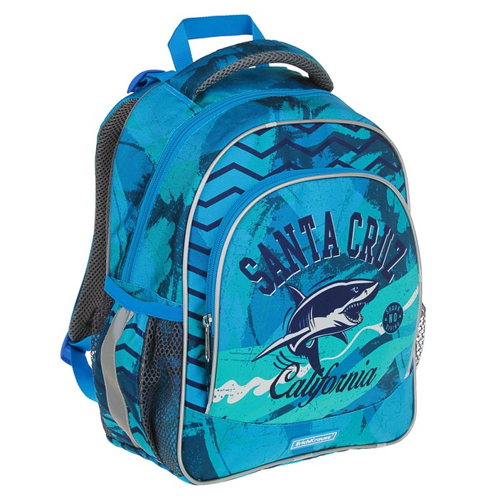 Рюкзак школьный эргономичная спинка 37х27х15см Erich Krause ErgoLine California