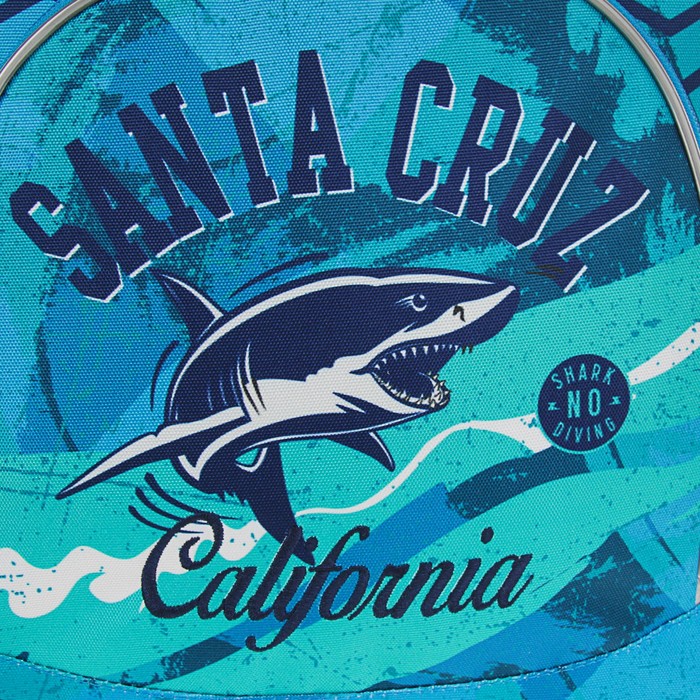 Рюкзак школьный эргономичная спинка 37х27х15см Erich Krause ErgoLine California