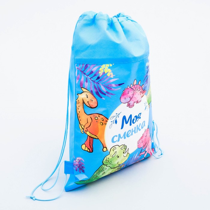 Мешок для обуви "Моя сменка", 26 х 37,5 см