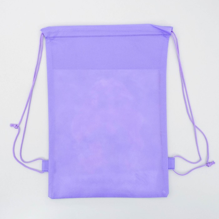 Мешок для обуви "Самая классная", 26 х 37,5 см