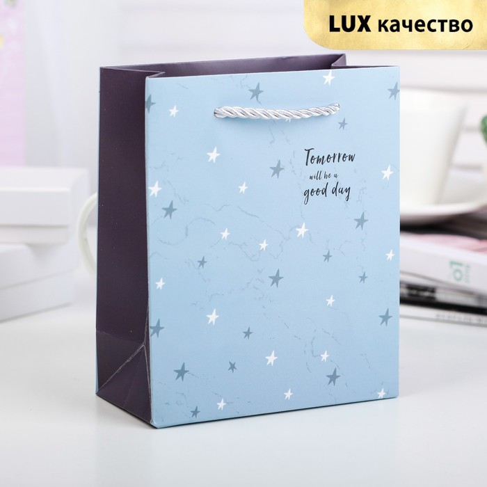 Пакет подарочный "Звёзды", люкс, 14 х 7 х 17 см