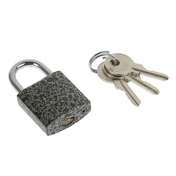 Замок навесной "Фабрика Замков" 303F-25, d=3.8 мм, 3 ключа