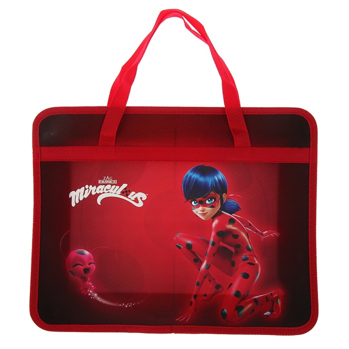 Папка с ручками пластиковая А4 LadyBug