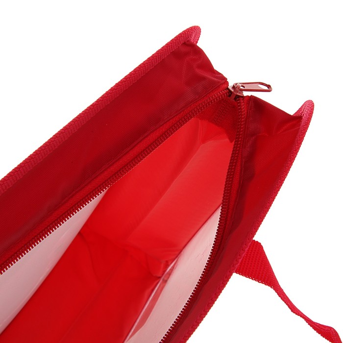 Папка с ручками пластиковая А4 LadyBug