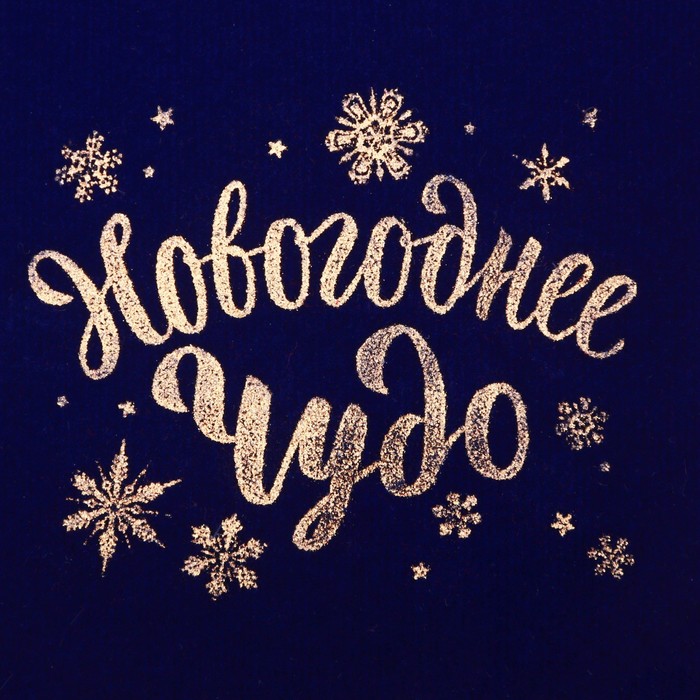 Мешочек бархатный «Новогоднее Чудо», 12 х16 см