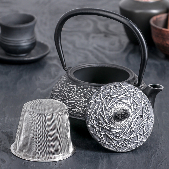 Чайник с ситом «Хрома», 600 мл