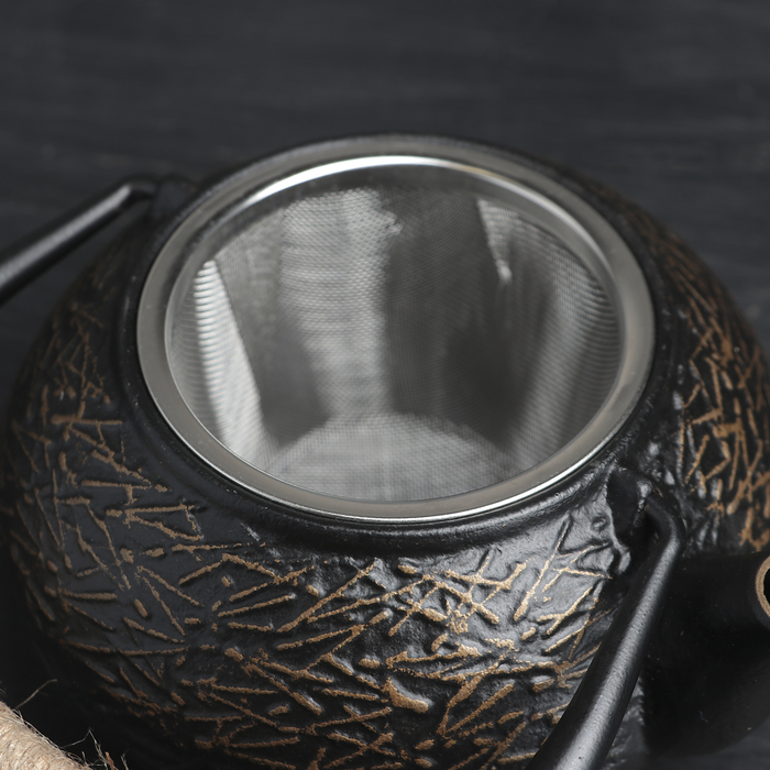 Чайник с ситом «Хрома», 600 мл