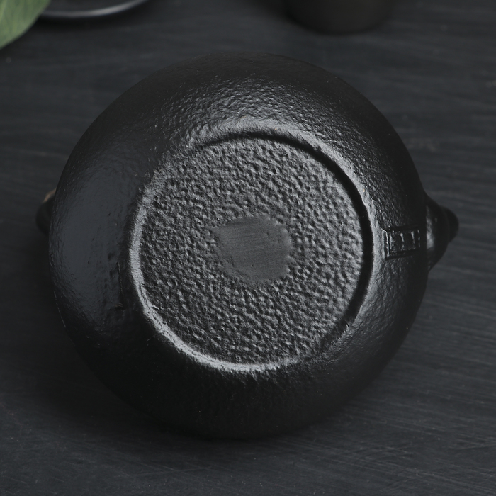 Чайник с ситом «Хрома», 600 мл