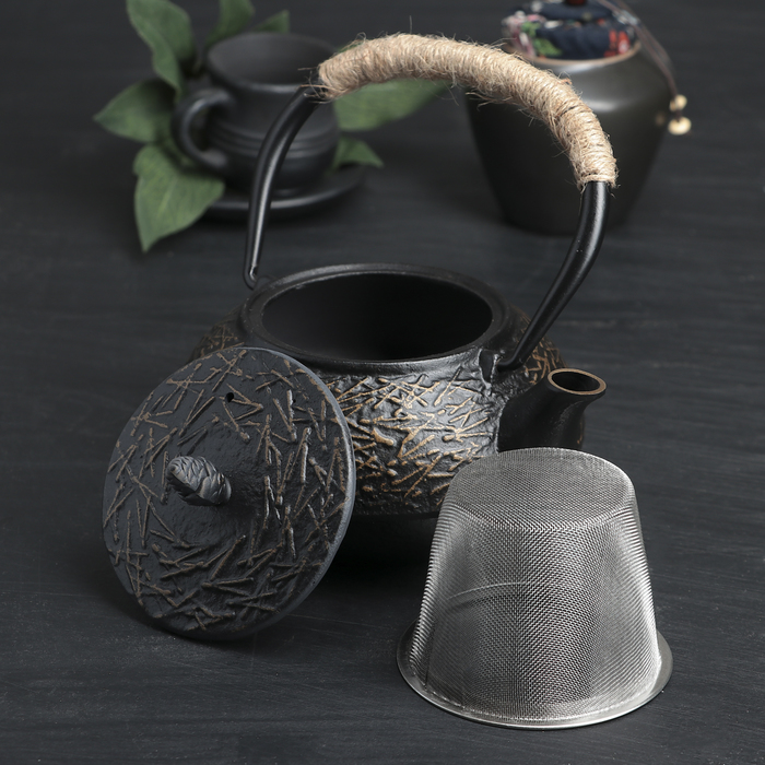 Чайник с ситом «Хрома», 600 мл