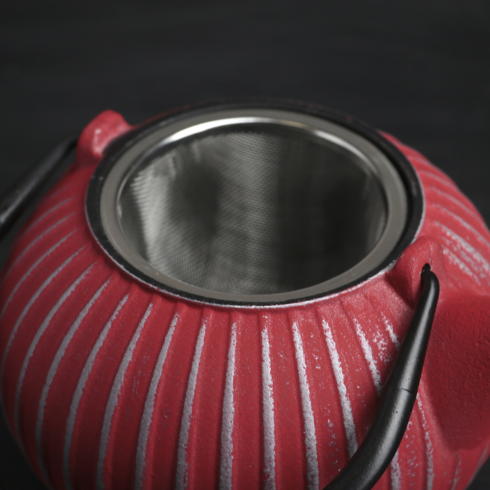 Чайник с ситом 850 мл "Тео", цвет красный