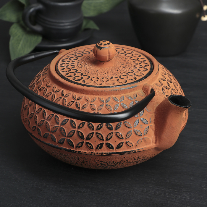 Чайник с ситом 800 мл "Лайан", цвет оранжевый