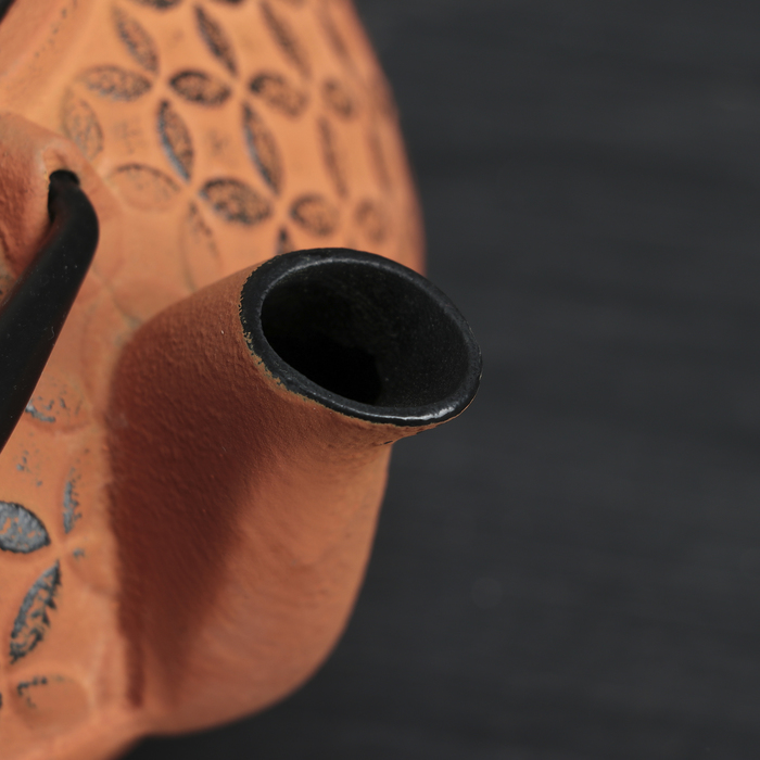 Чайник с ситом 800 мл "Лайан", цвет оранжевый