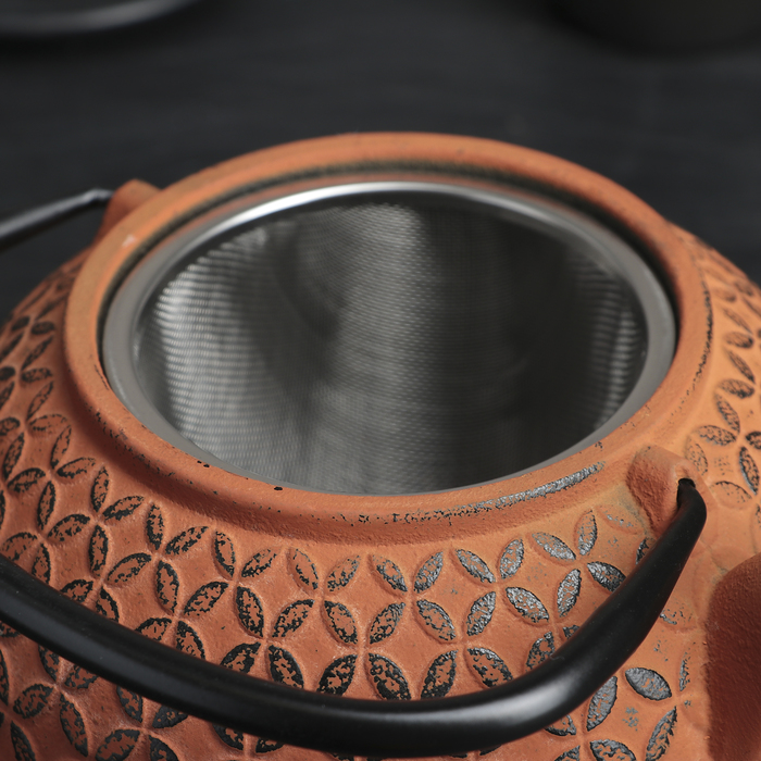 Чайник с ситом 800 мл "Лайан", цвет оранжевый