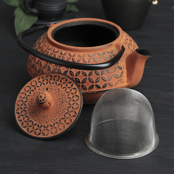 Чайник с ситом 800 мл "Лайан", цвет оранжевый