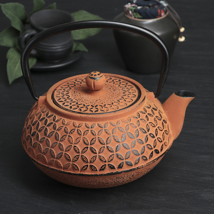 Чайник с ситом 800 мл "Лайан", цвет оранжевый