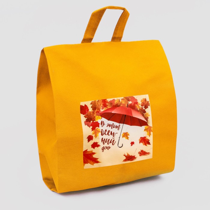 Мешки для обуви на замке "Моя осенняя обувь", 3 шт.