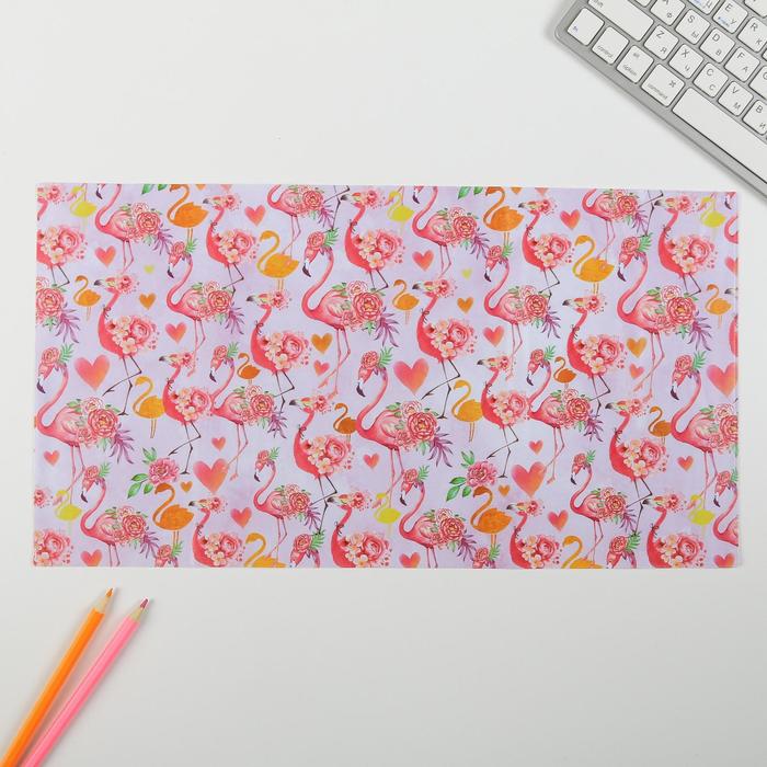 Набор обложек для книг "Чудеса рядом", (3шт), 43,5 х 23,2 см