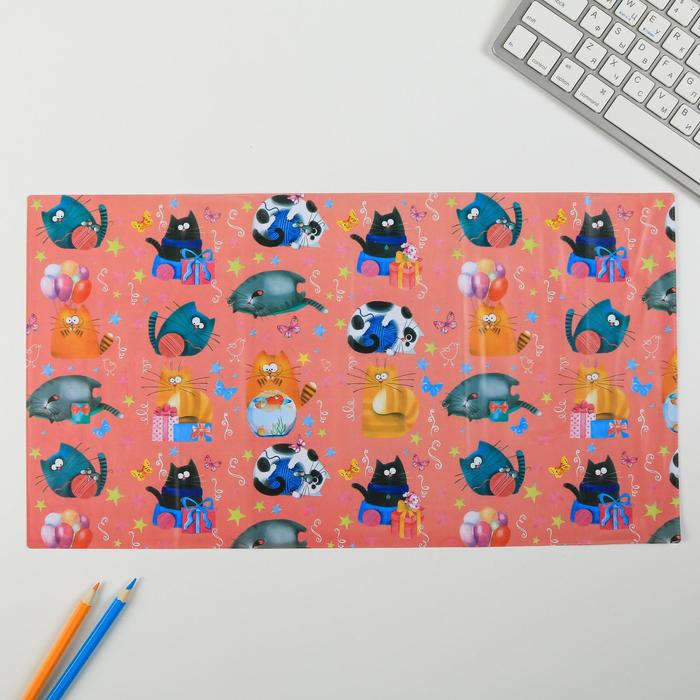 Набор обложек для книг "Чудеса рядом", (3шт), 43,5 х 23,2 см