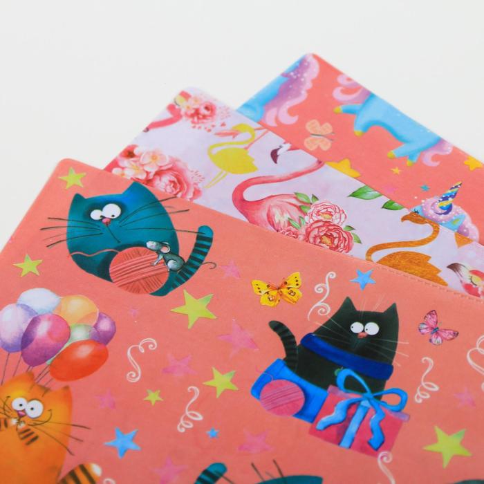 Набор обложек для книг "Чудеса рядом", (3шт), 43,5 х 23,2 см