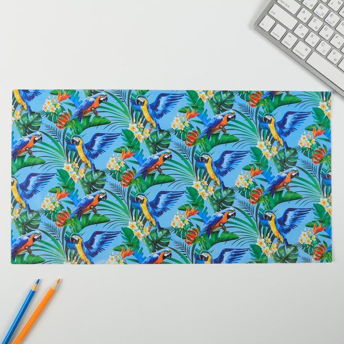 Набор обложек для книг "Яркая жизнь", (3шт), 43,5 х 23,2 см