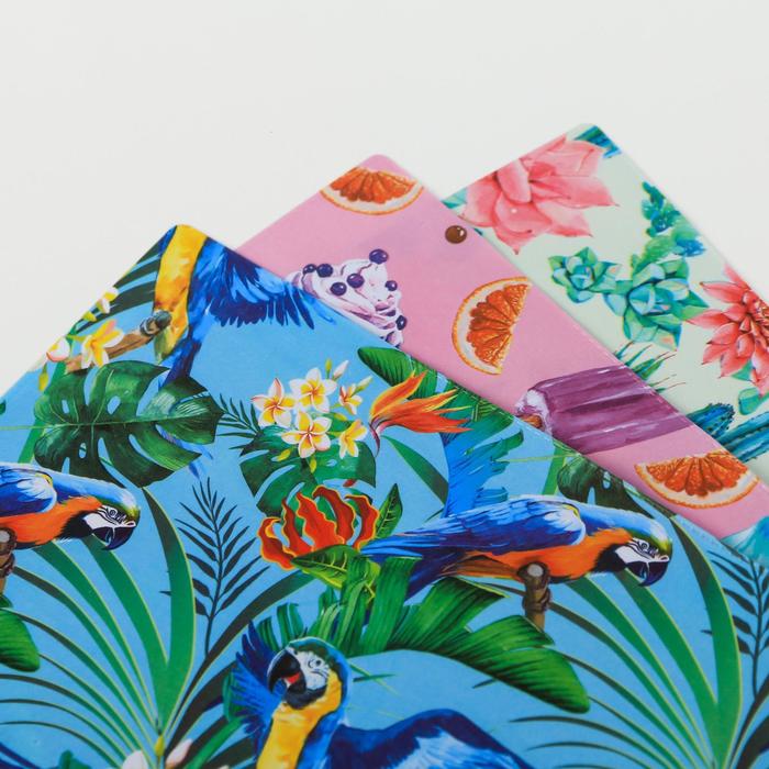 Набор обложек для книг "Яркая жизнь", (3шт), 43,5 х 23,2 см