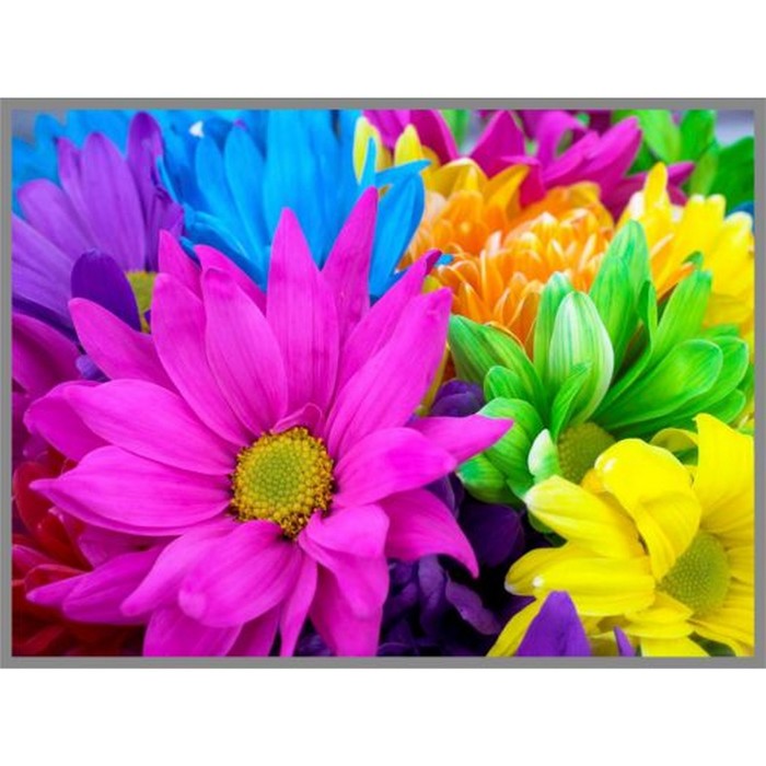 Алмазная мозаика Color Mix, 27*20 см, 32 цвета