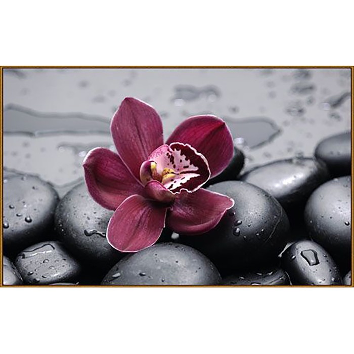 Алмазная мозаика "Орхидея на камнях", 28*20 см, 18 цветов