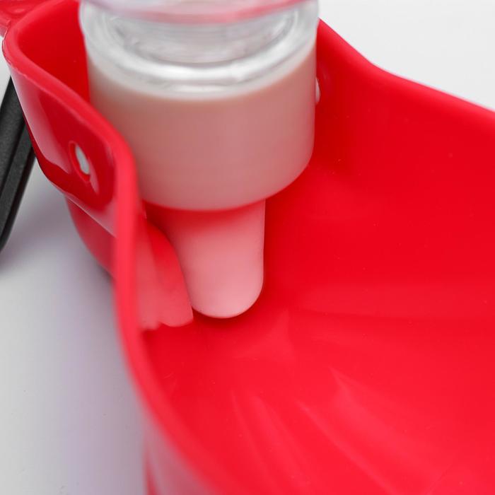 Поилка прогулочная DIIL фигурная, 250 мл, с мягким носиком, микс цветов