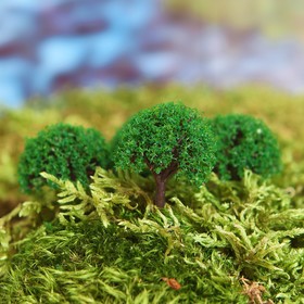 Миниатюра кукольная, набор 4 шт «Дерево» размер 1 шт: 2×2×3,5 см, цвет зелёный от Сима-ленд
